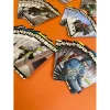 کلت سوپر اکسپرس (دزدی تیز و بز)